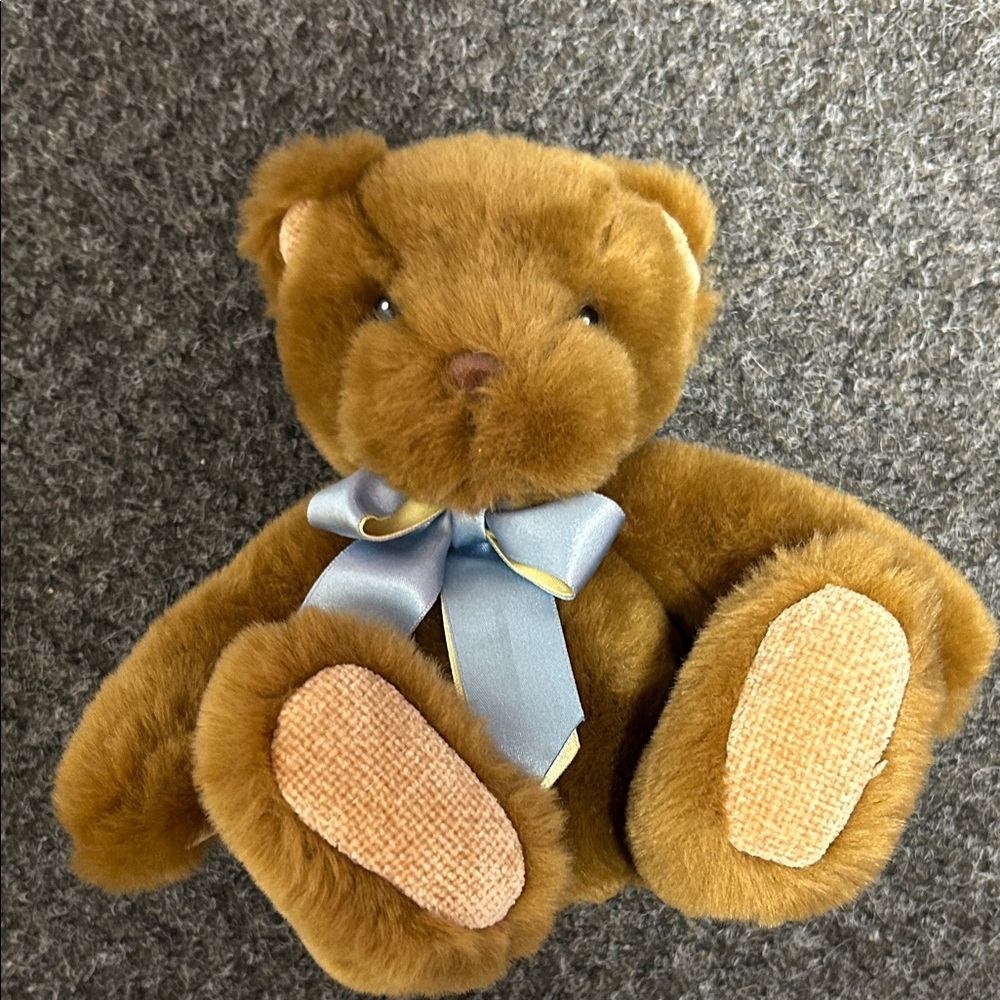 Teddy Bear 🧸